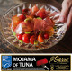 Mojama  - Salt cured Tuna Loin - Salazones Garre